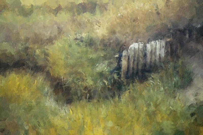 Retaining Wall on Edge of Marsh