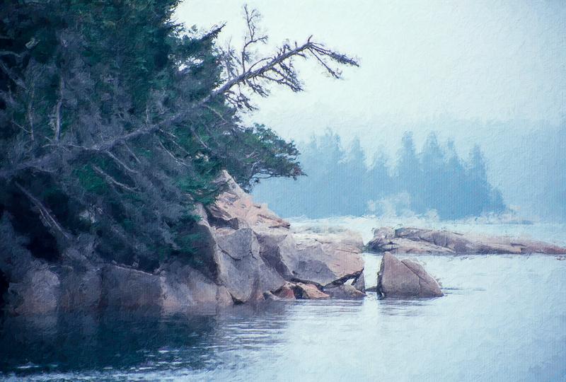 Foggy Coastal Morning - Maine